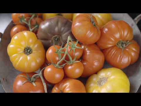 GOOD TO-GO Smoked Three Bean Chili - 2 Servings Video - GOOD TO-GO Smoked Three Bean Chili - 2 Servings Video