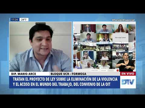 Diputado Arce, Mario - Sesión Especial 11-11-2020 - PL