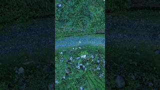 Run