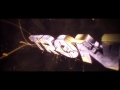 Intro for tronfx  new gold style