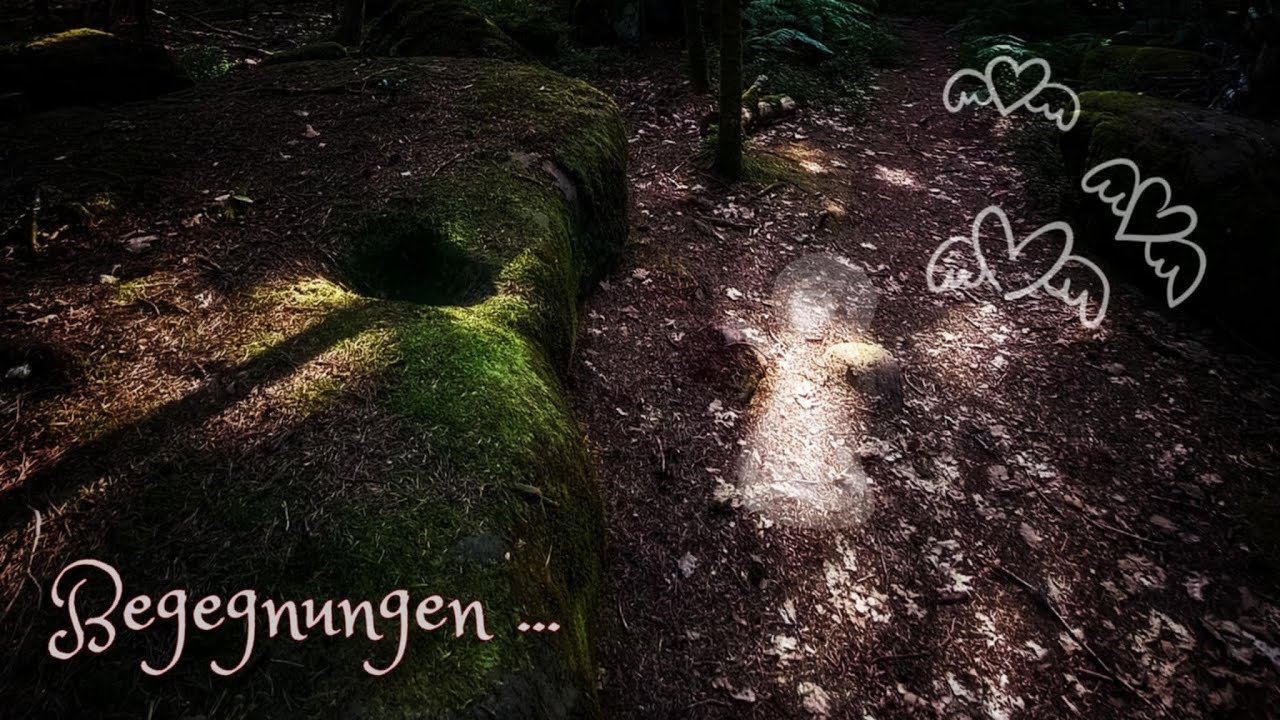 Drachen, Baumwesen, Energien - Naturwesen auf dem Weg zum Feenplateau 🐉🪨🌀