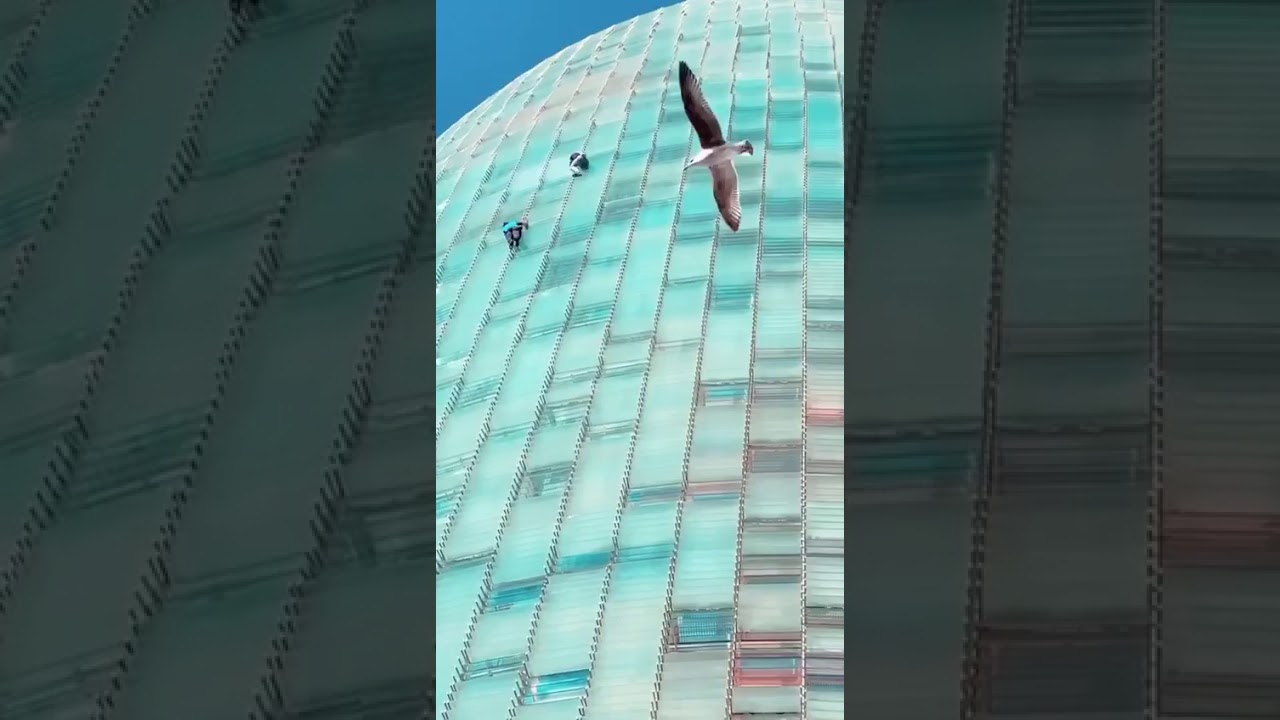 leo urban torre glories 2