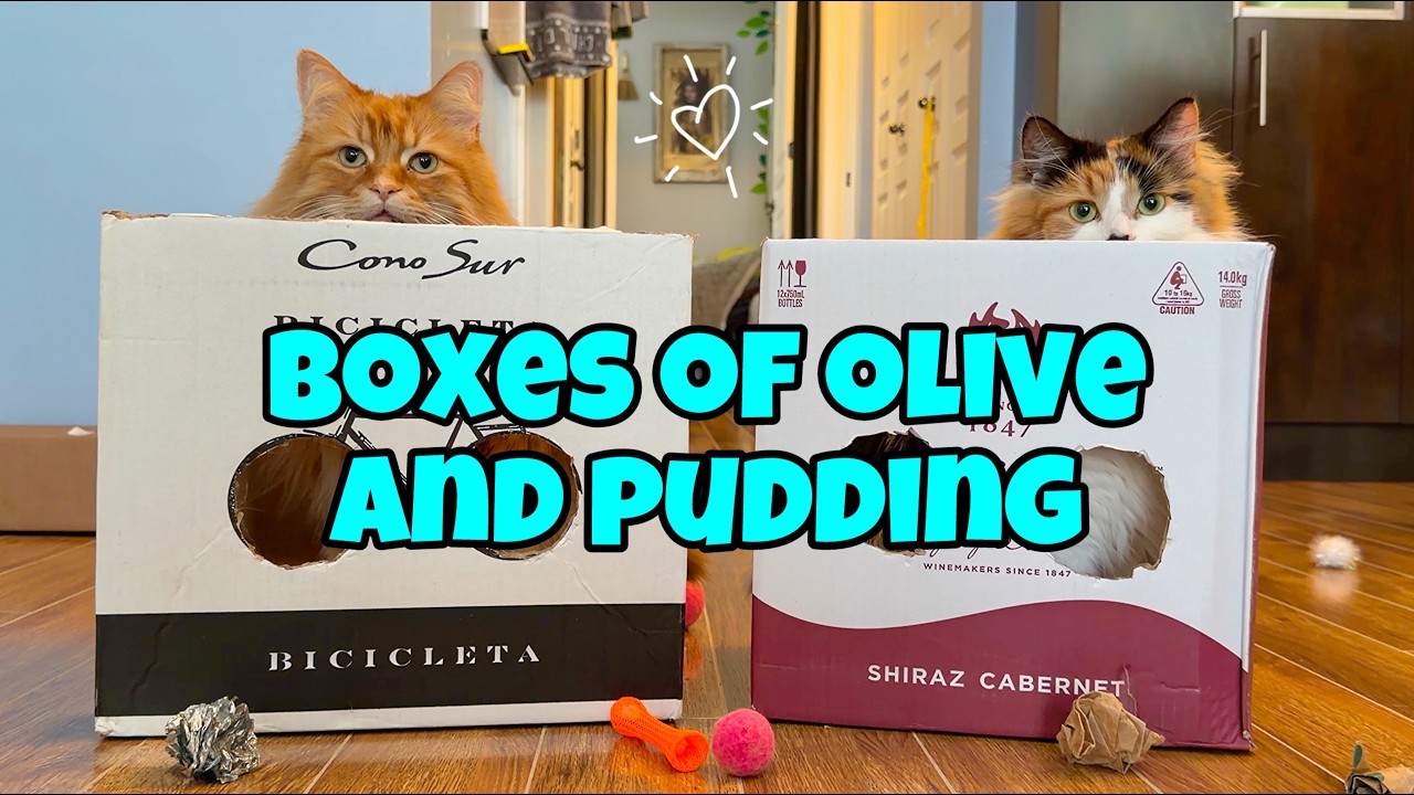 Распаковка Fluff: Битва коробок с оливками и пудингом 📦