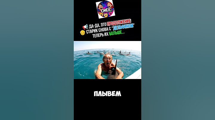 📢 Да-да, это ПРОДОЛЖЕНИЕ!👴 Старик снова с "дельфином" — теперь их больше...