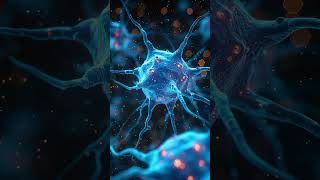 SİNİR,RETİNA VE KALP KASI HÜCRELERİ BÖLÜNEMEZ; TAMAMEN İŞİNE ODAKLANIR.