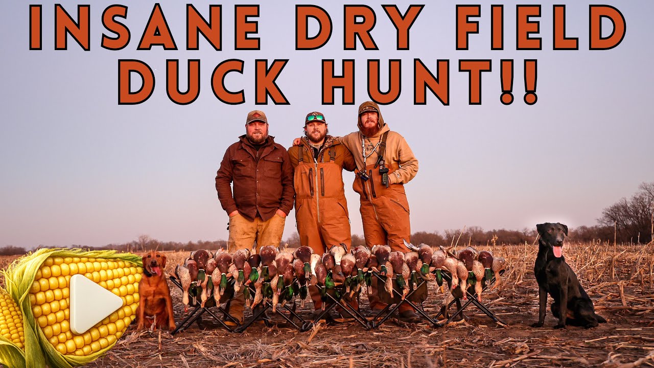Kansas Dry Field Duck Hunting! (Big Groups!!)