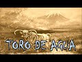 Toro de agua - Leyenda patagónica - Criptozoología