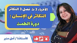 الأحياء 3 ث | الفصل 3 التكاثر | التكاثر فى الإنسان : دورة الطمث