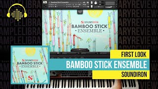 Tampilan Pertama: Bamboo Stick Ensemble V3 oleh Soundiron