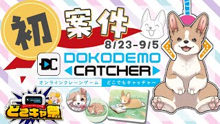 【初企業案件】犬でもできるクレーンゲーム！！どこでもキャッチャーコラボ祭（後半戦）