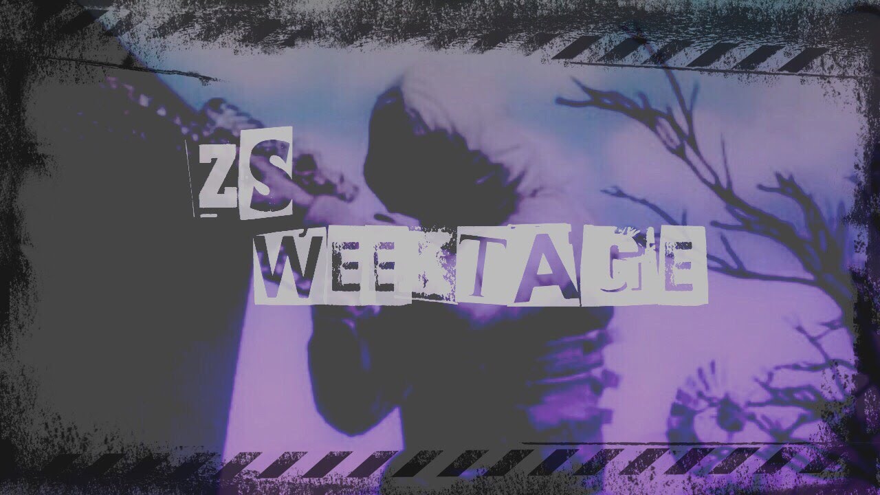 ZeST: Weektage#1[ZS] - YouTube