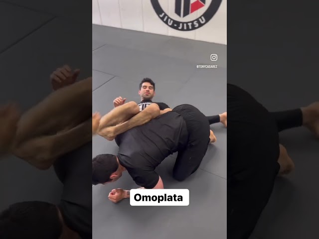 10 BJJ Moves Every Beginner Should know #jiujitsu #martialarts #mma