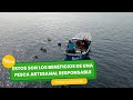 Estos son los beneficios de una pesca artesanal responsable - TvAgro por Juan Gonzalo Angel Restrepo