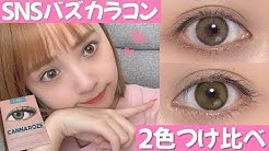 きゃとtv Youtube きゃとtv Youtube