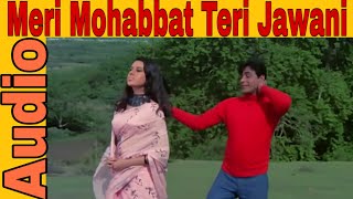 Meri Mohabbat Teri Jawani