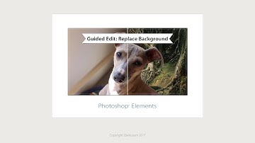 Photoshop Elements 2018 Replace Background