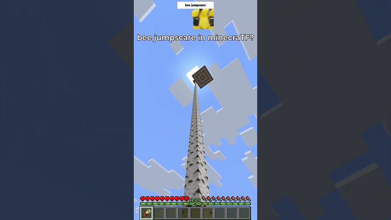 bee analog horror in minecraft 🐝