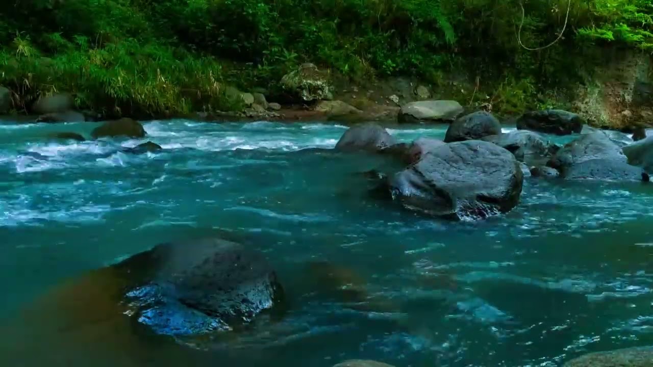 Gentle Stream in the Woods – Nature River Sounds for Relaxation