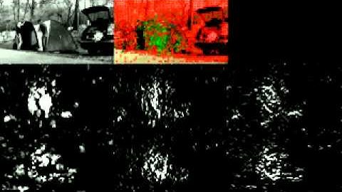 Visualization of MBH feature (HVC1214) (Assembling a shelter - Fast Motion)