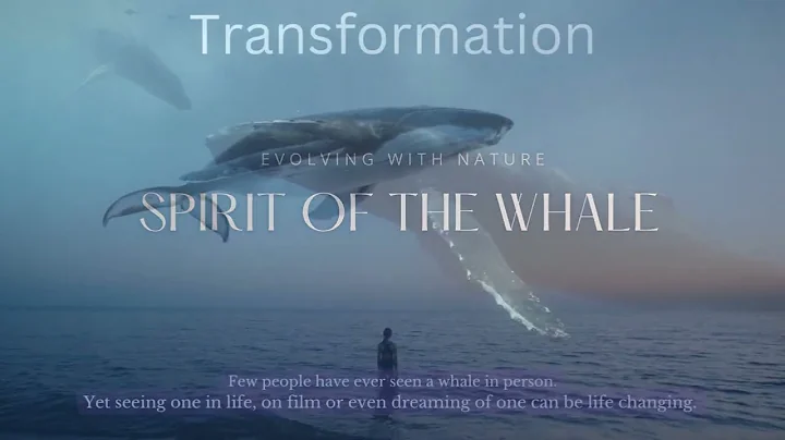 Tranform  with the Spirit of the Whale