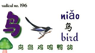 Radical Series | 鸟 | niao | bird | bird radical with all related HSK vocabulary Radical Series | 鸟 | niao | bird | bird radical with all related HSK vocabulary
