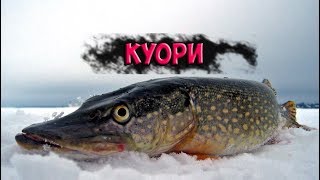 Русская рыбалка 4: Трофейная Щука