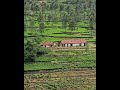 Real ghost caught on camera     haunted house in ooty tea estate  real ghost house