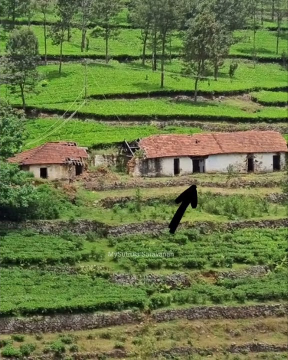 Real Ghost Caught on Camera 😱😱 |   haunted house in ooty tea estate | real ghost house