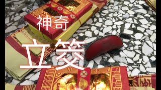 昨晚發生..白沙屯媽祖案前神奇立筊...你怎麼看？