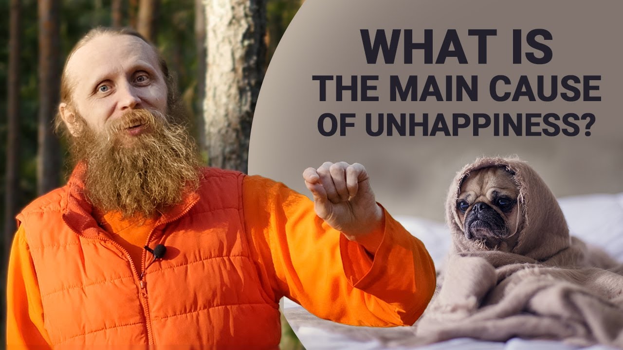 what-is-the-main-cause-of-unhappiness-youtube