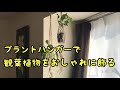 手作りプラントハンガーで観葉植物を飾る♪