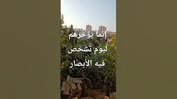 اللهم قنا عذاب يوم تبعث عبادك آمين وصل اللهم وبارك على محمد وعلى آله 