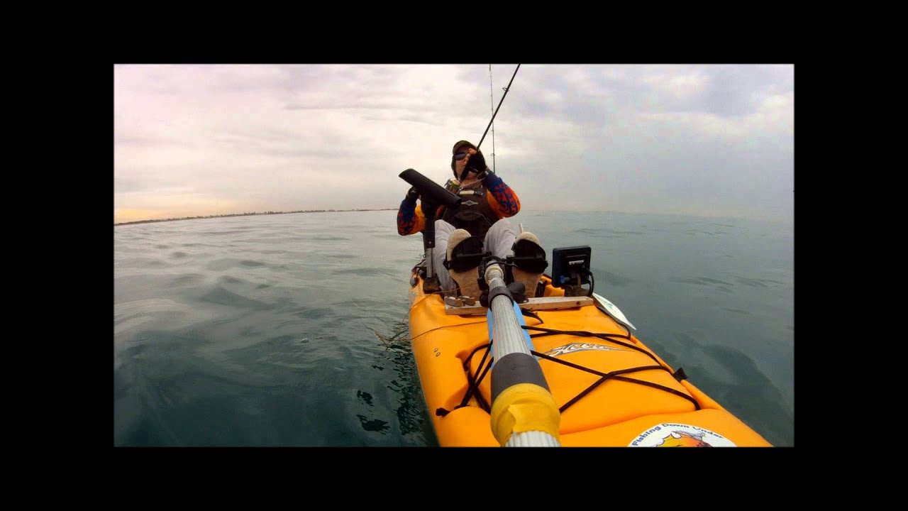 Kayak based Shark fishing at Rockingham, Western Australia YouTube