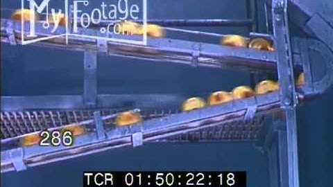 1960s Computers / Automation / Food Packaging (Silent)