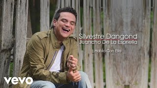 Video thumbnail of "Silvestre Dangond, Juancho De La Espriella - Habla Con Ella (Cover Audio)"
