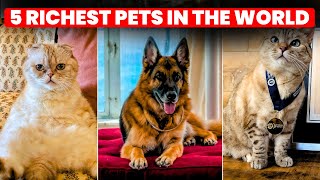Top 5 Richest Pets In The World Meet The Most Wealthy And Pampered Animals Alive