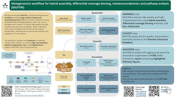 Metagenomics workflow for hybrid... - Renaud Van Damme - MICROBIOME - Poster - ISMB/ECCB 2021