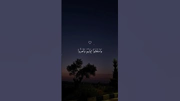 اكتب شيء تؤجر عليه ❤🌿 || القارئ ماهر المعيقلي 😴❤