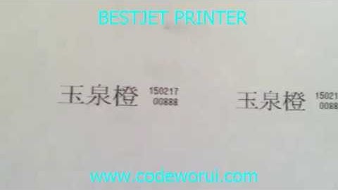 BESTJET PRINTER for printing serial number video