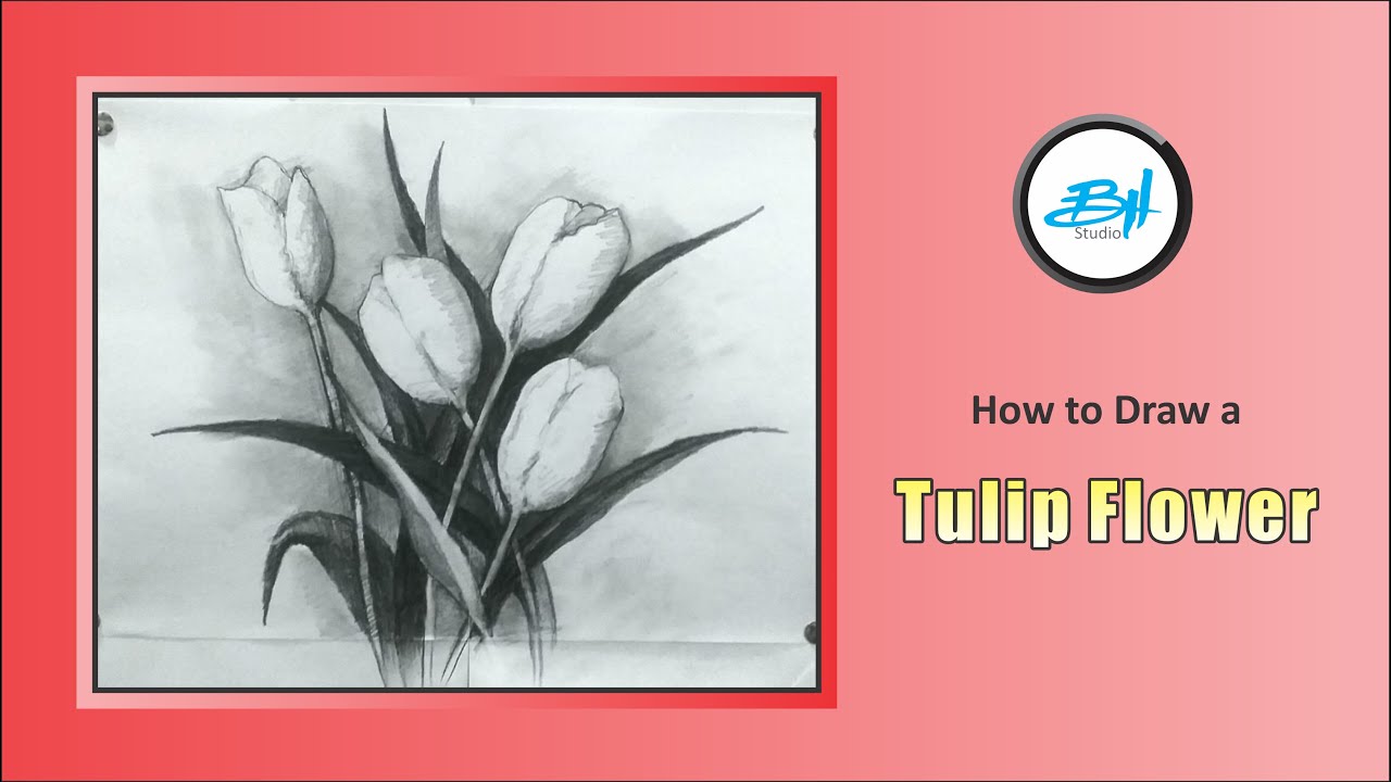 How to Draw a Tulip Easy | Basic Drawing Lesson | Bh Studio Art Lesson ...