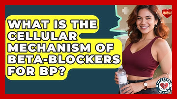 What Is The Cellular Mechanism Of Beta-blockers For BP? - Hypertension Help Hub