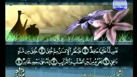 سورة الطارق كاملة الشيخ سعد الغامدي