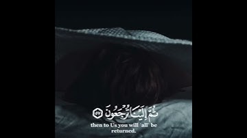كل نفس ذائقة الموت #بيشوا_الكردي #سورةالعنكبوت @Cromatquranalkareem
