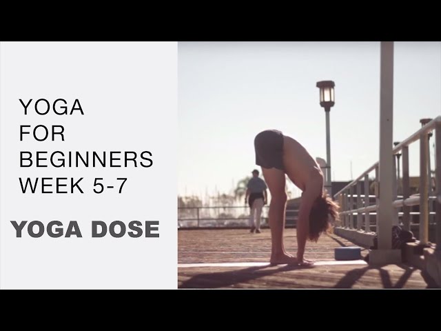 Yoga For Beginners Week 5 - 7  with Tim Senesi