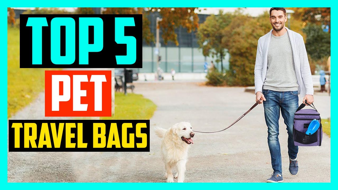 ✅Top 5 Best Pet Travel Bags in 2023 Reviews