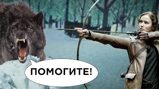 видео: ОХОТА С ЛУКОМ картинка: ОХОТА С ЛУКОМ