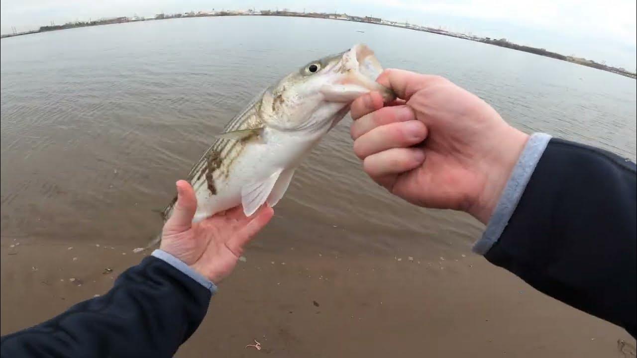Delaware River Striper fishing YouTube