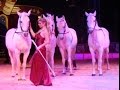 Circus Probst - Tiere und Menschen auf Tournee (2014) thumbnail