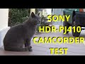 Testcamera sonyrpj410 camcorder senza scheda sdcard veloce ma con gattini in quantita