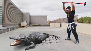 Les animaux qui ont demandé de l'aide et de la gentillesse